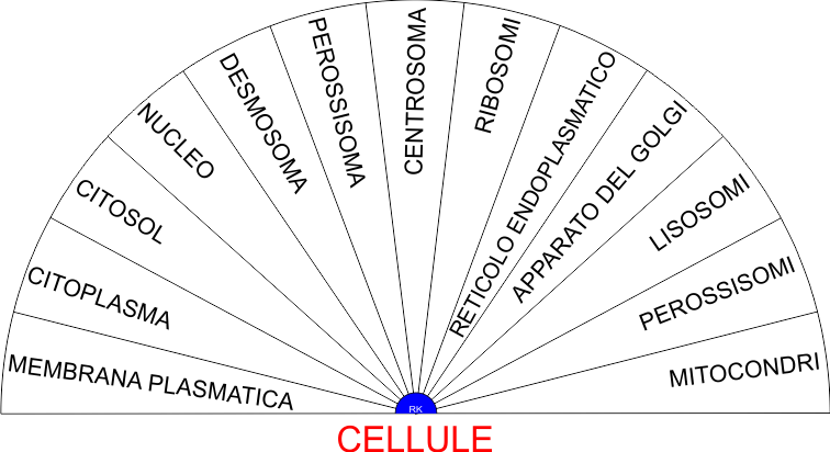 CELLULE