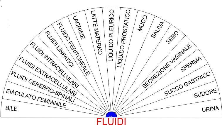 FLUIDI