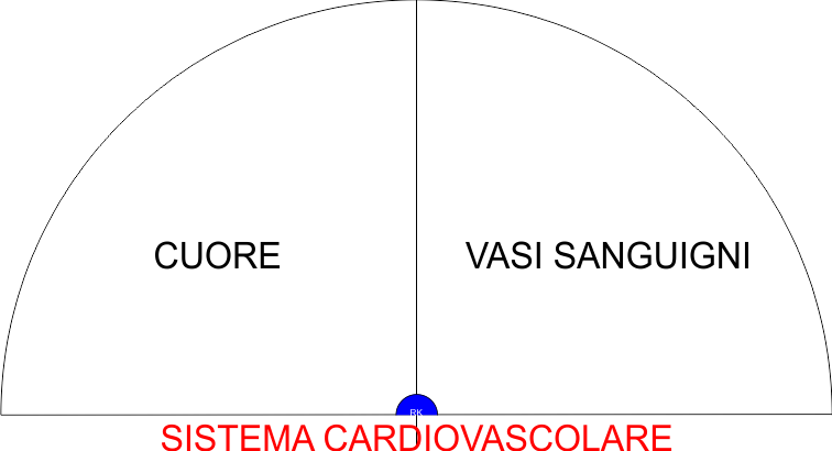 SISTEMA CARDIOVASCOLARE