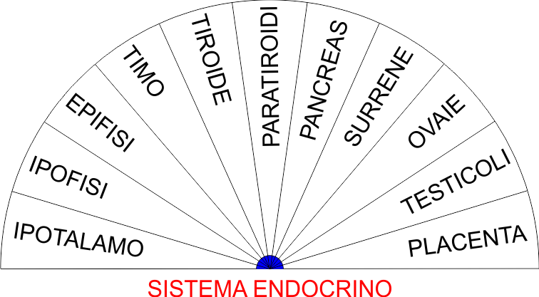 SISTEMA ENDOCRINO