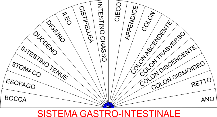 SISTEMA GASTROINTESTINALE