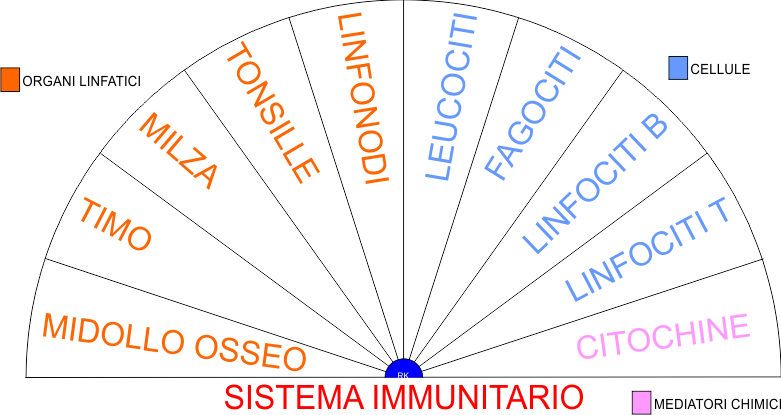 SISTEMA IMMUNITARIO