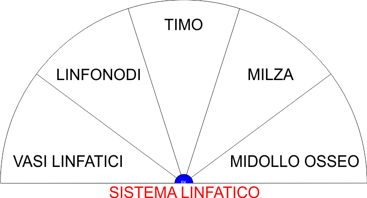 SISTEMA LINFATICO