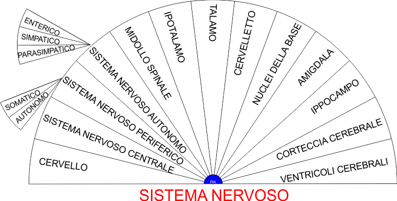 SISTEMA NERVOSO