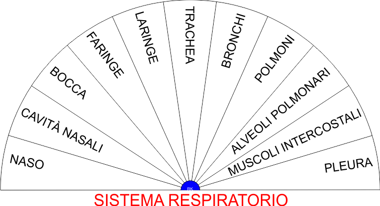 SISTEMA RESPIRATORIO